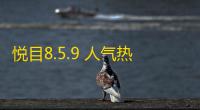 悦目8.5.9 人气热度：29℃